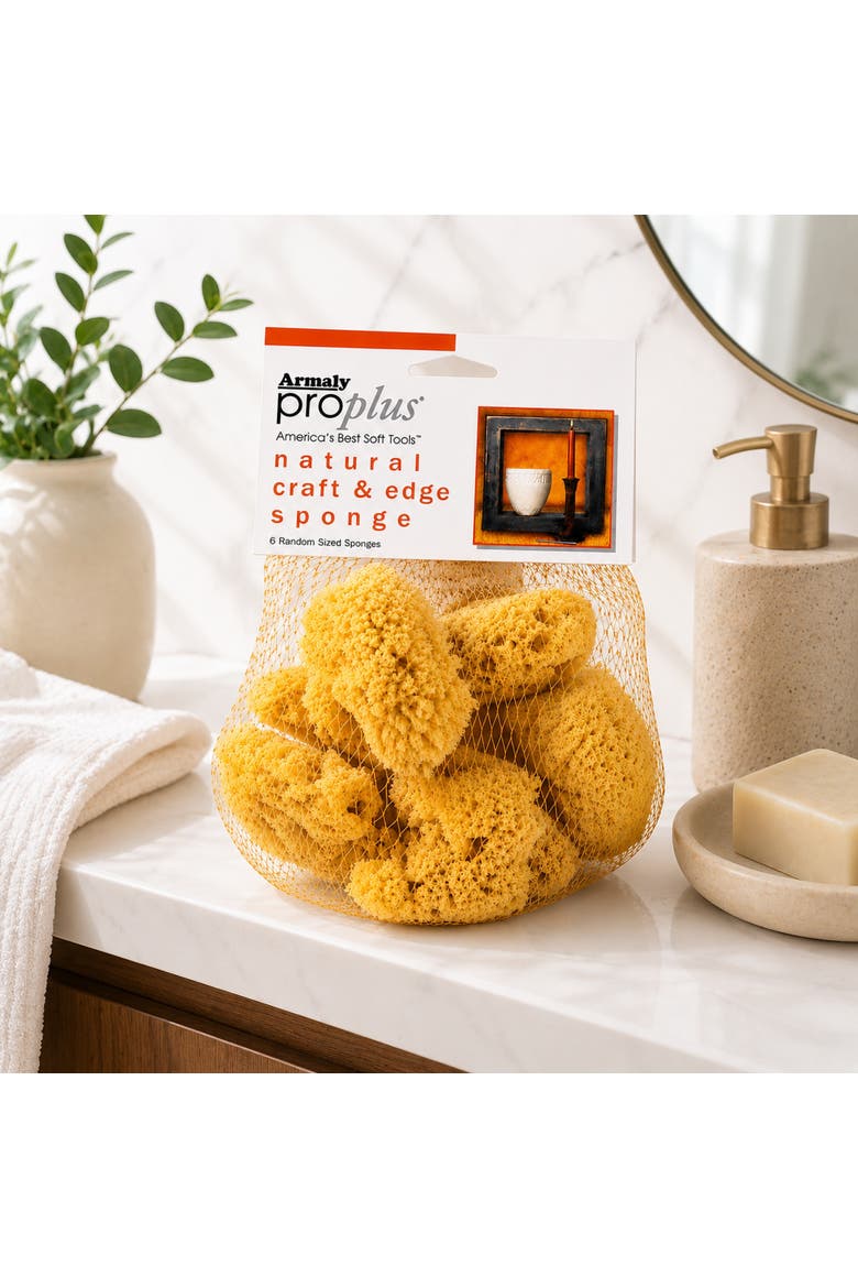 Natural Craft and Edge Sponges, Alternate, color, Multicolored