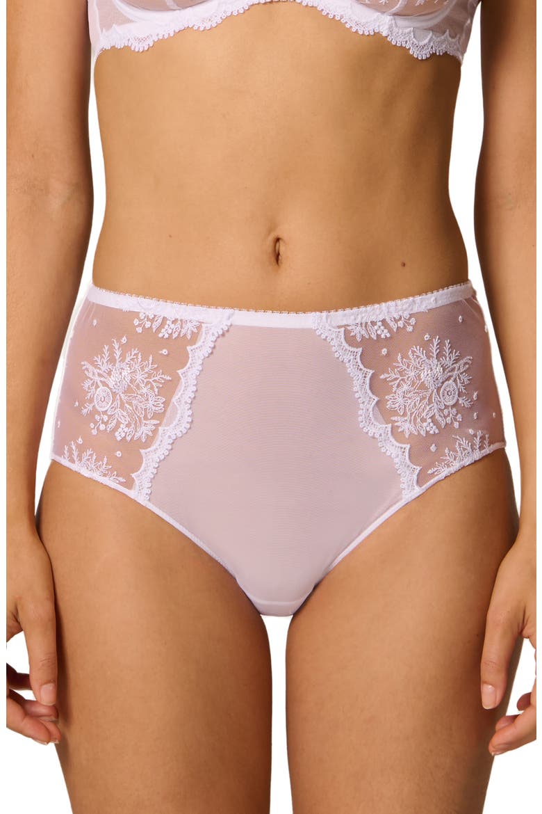 Intrigue Floral Embroidered Briefs, Main, color, WHITE