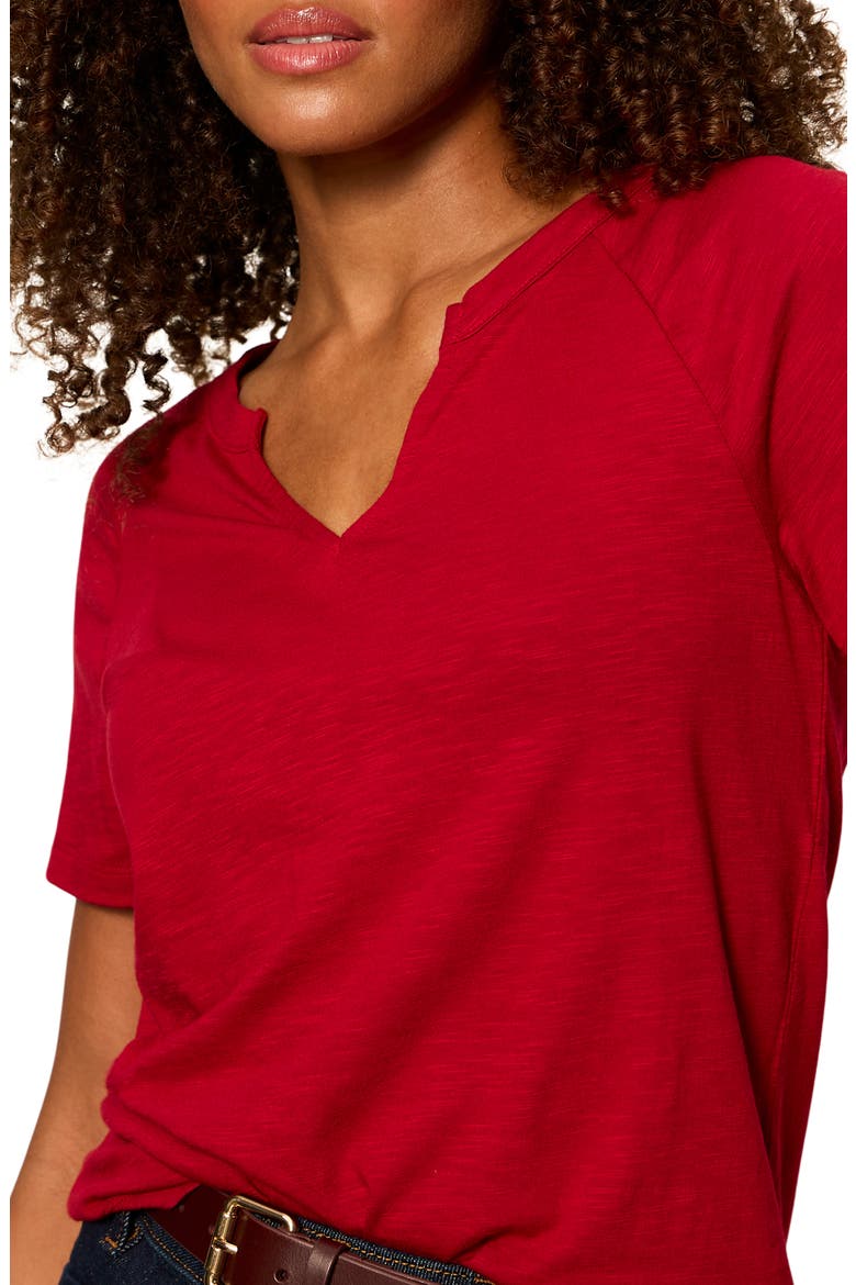 Notch V-Neck Cotton Blend T-Shirt, Alternate, color, RED BERRY