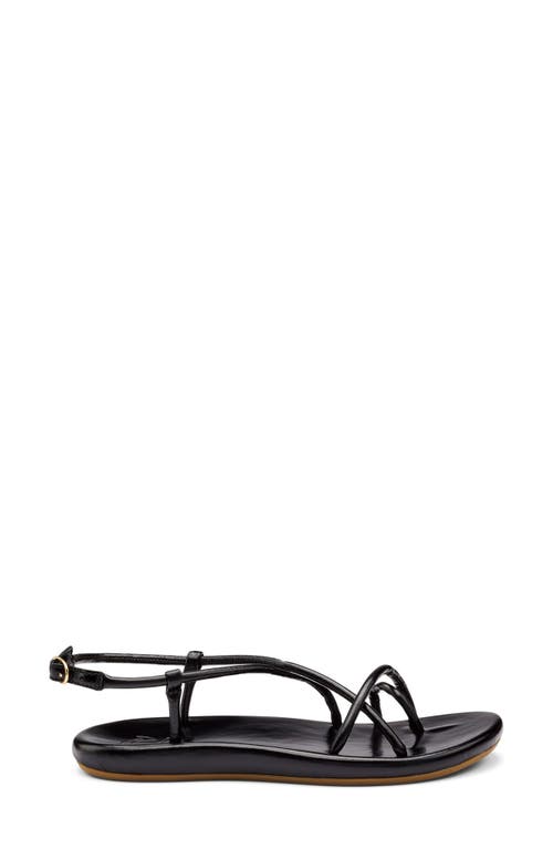 Olukai Waiau Sandal In Black