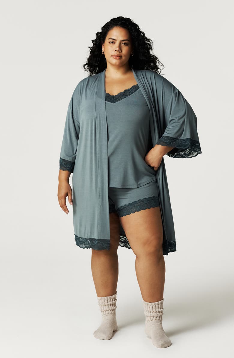 Posh Peanut Lace Trim Robe, Alternate, color, Blue