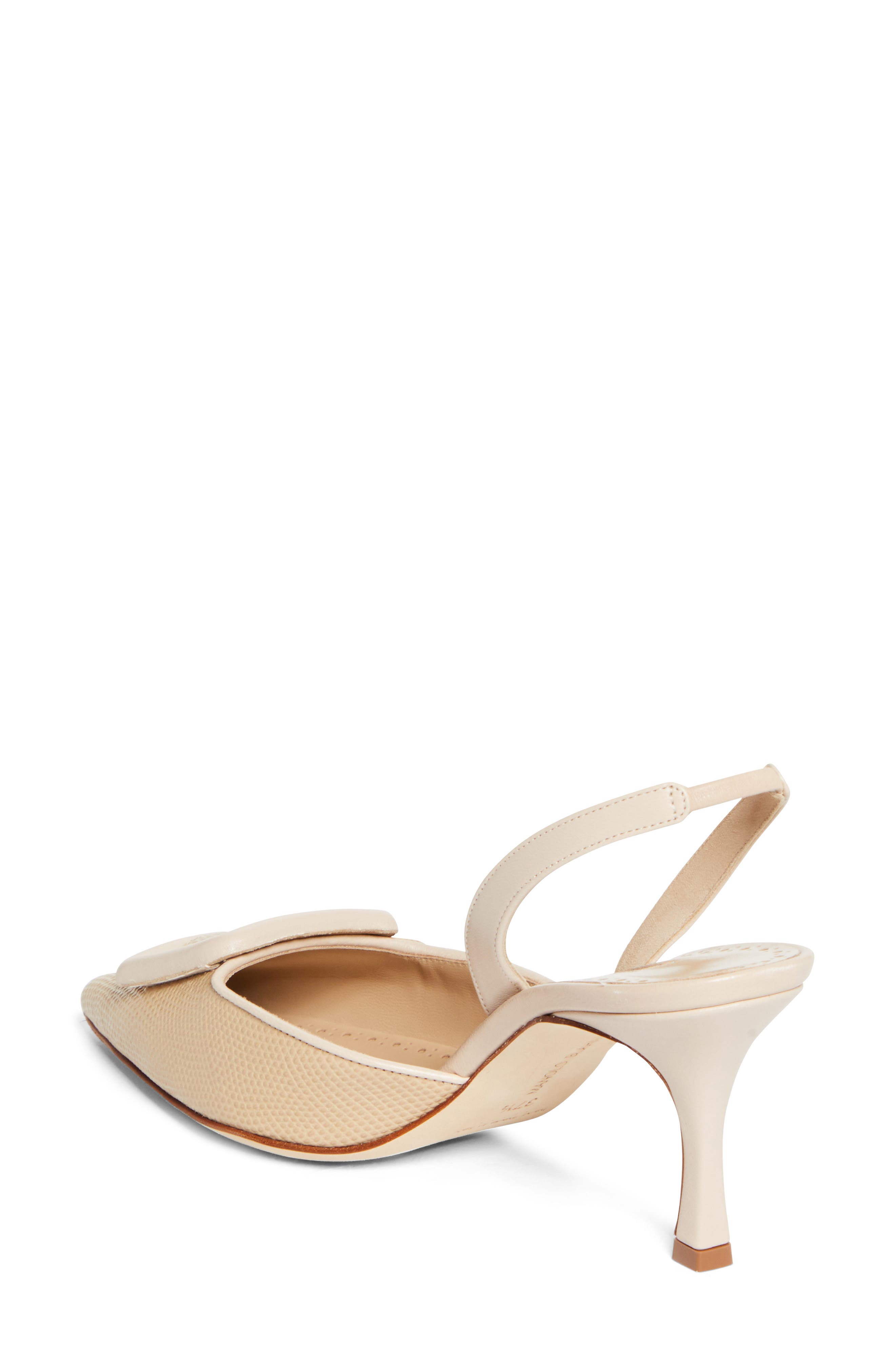 Manolo Blahnik Mayslibi Slingback Pump, Alternate, color, Ypri 9079/Mnud 2601