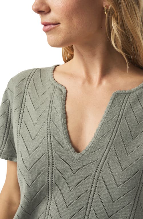 Splendid Sabrina Pointelle Short Sleeve Sweater In Green