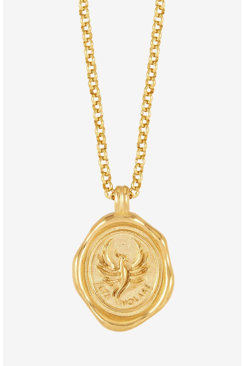 Men's 'Fly High' Phoenix Talisman Necklace, Main, color, Yellow Gold Vermeil