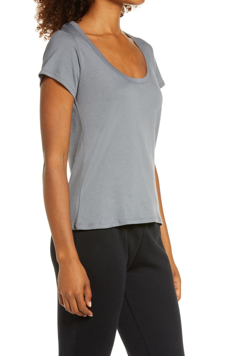 Alternative Organic Cotton T-Shirt, Alternate, color, 