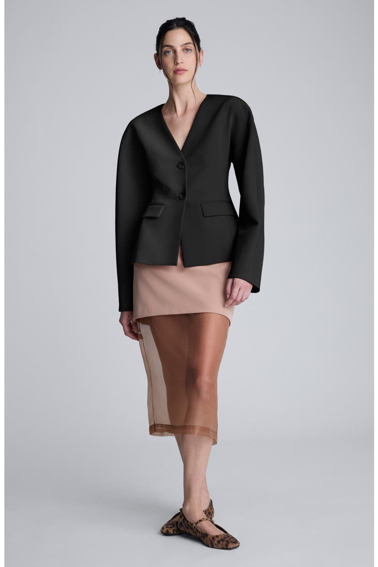 V-Neck Blazer, Alternate, color, BLACK
