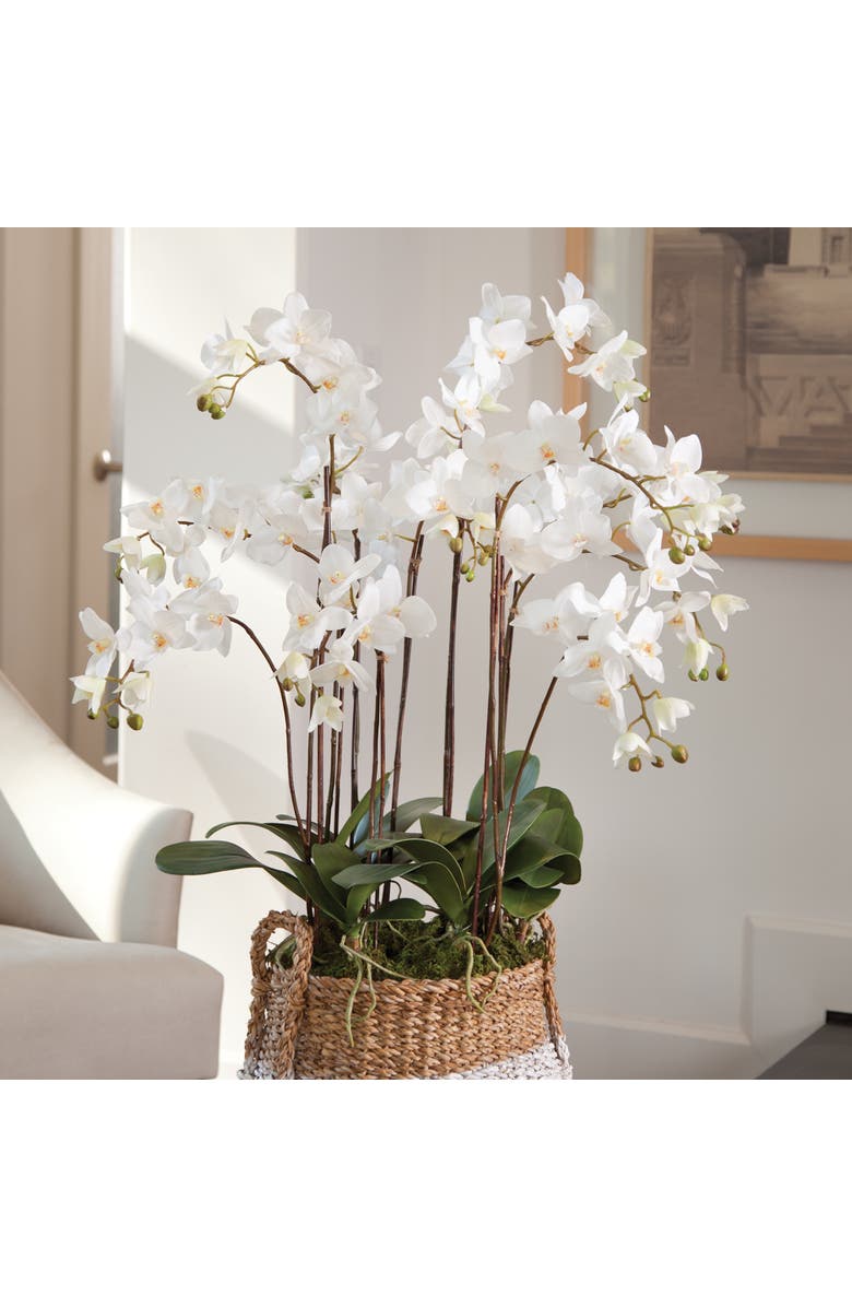 Napa Home & Garden Phalaenopsis Orchid Faux (Fake) Drop-In 36", Alternate, color, White