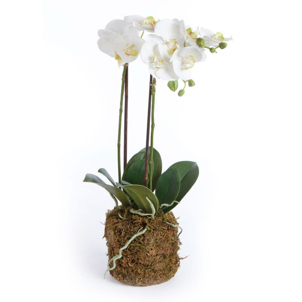 selected White