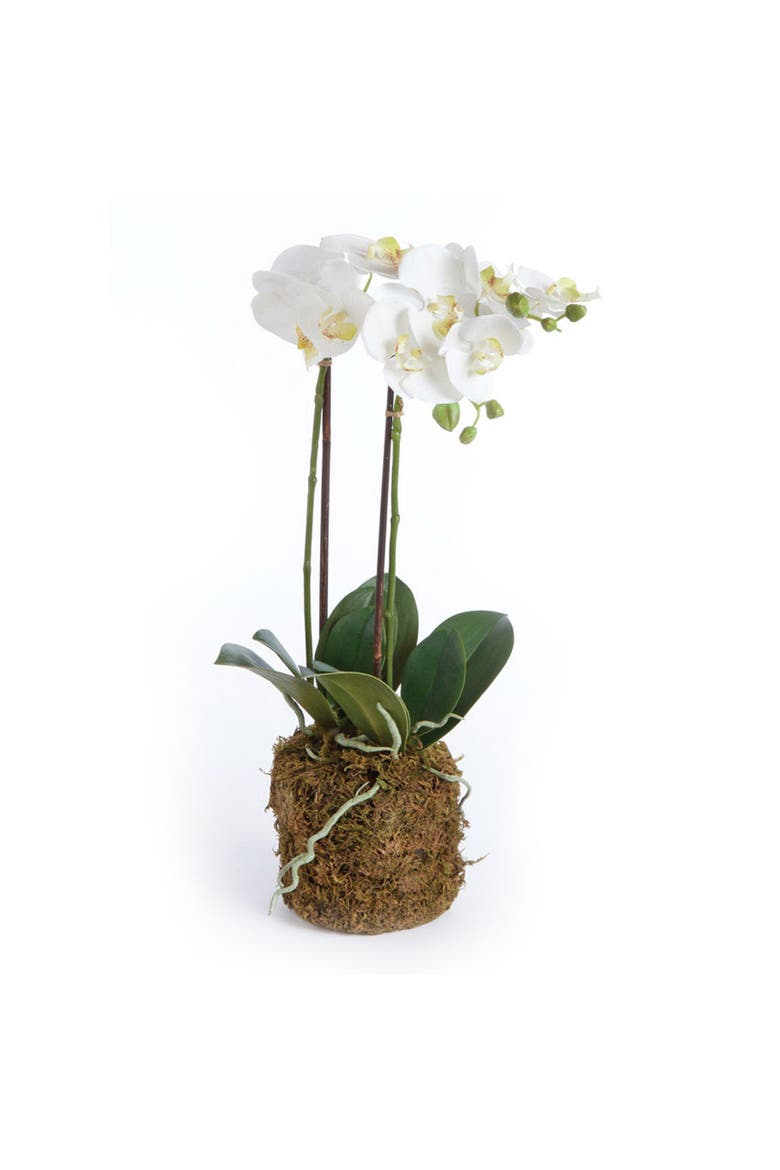 23" Phalaenopsis Orchid Drop-In Flower Floral Plant Root Ball Tabletop Decor, Main, color, White