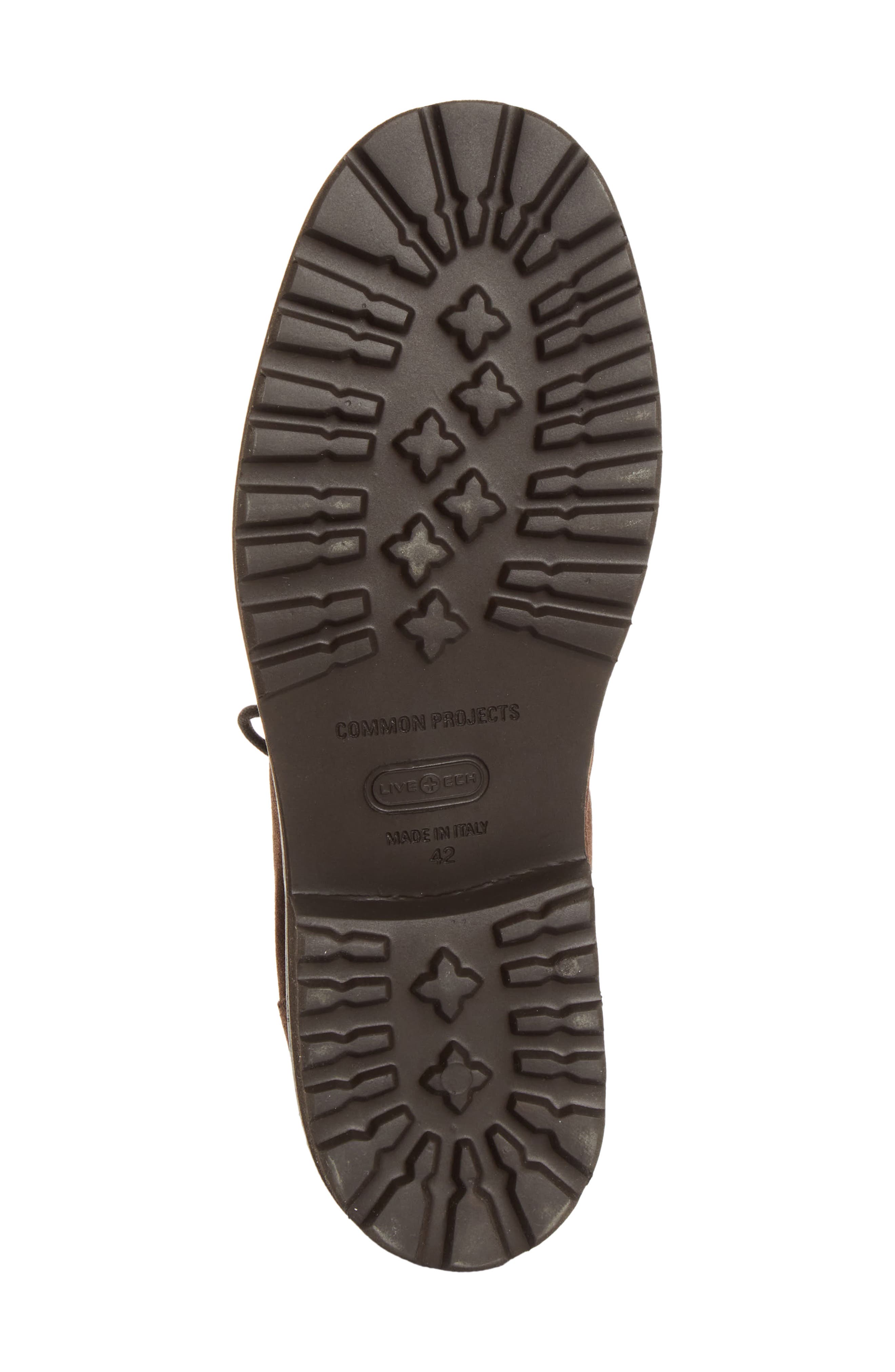 Piuma Leather Hiker Boot, Alternate, color, DARK BROWN