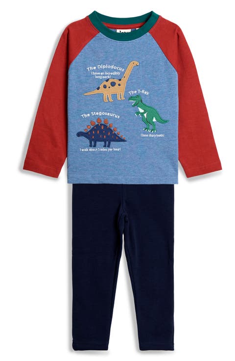 Dino Facts Raglan Sleeve T-Shirt & Pants Set (Baby)