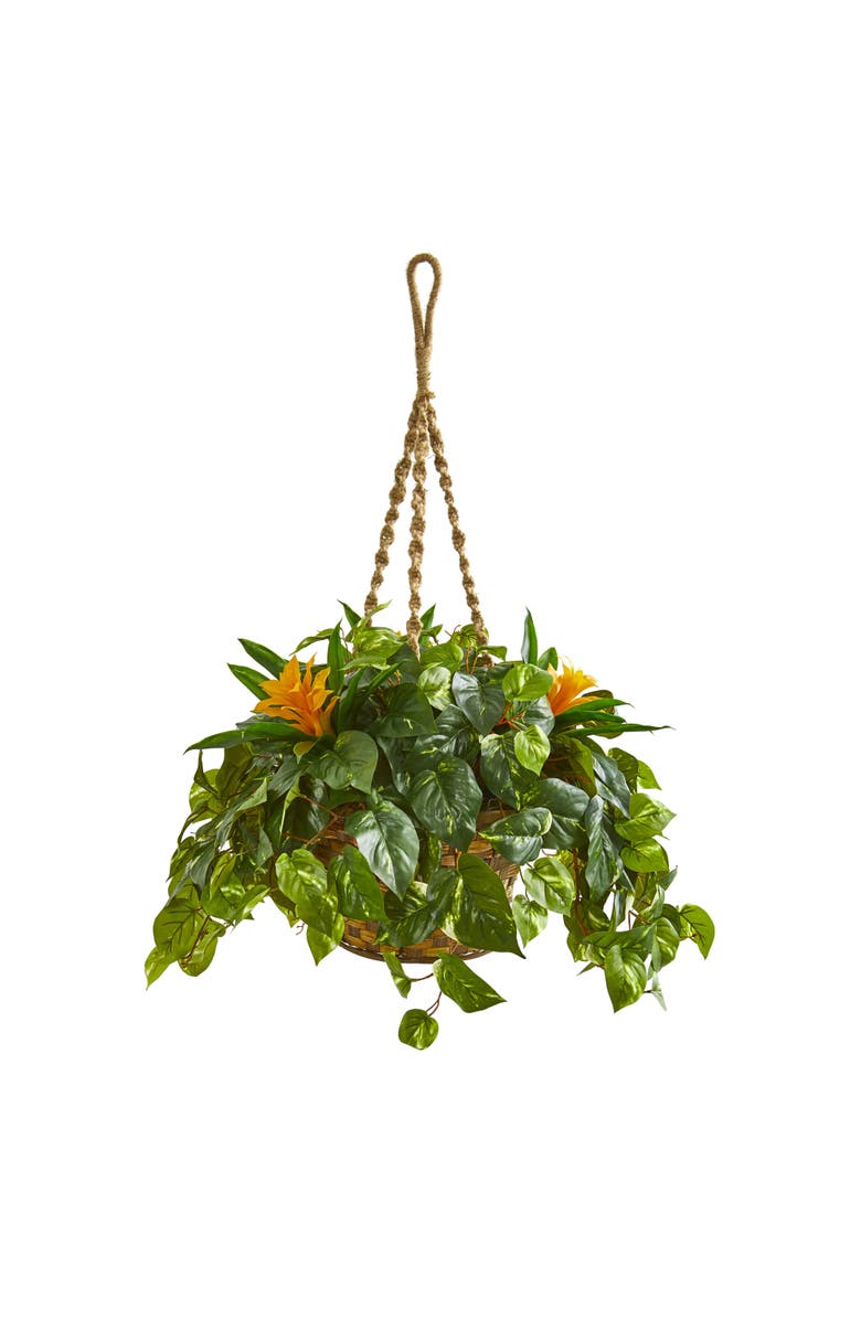 NEARLY NATURAL 31-in Bromeliad & Pothos Artificial Plant in Hanging Basket, Main, color, Green