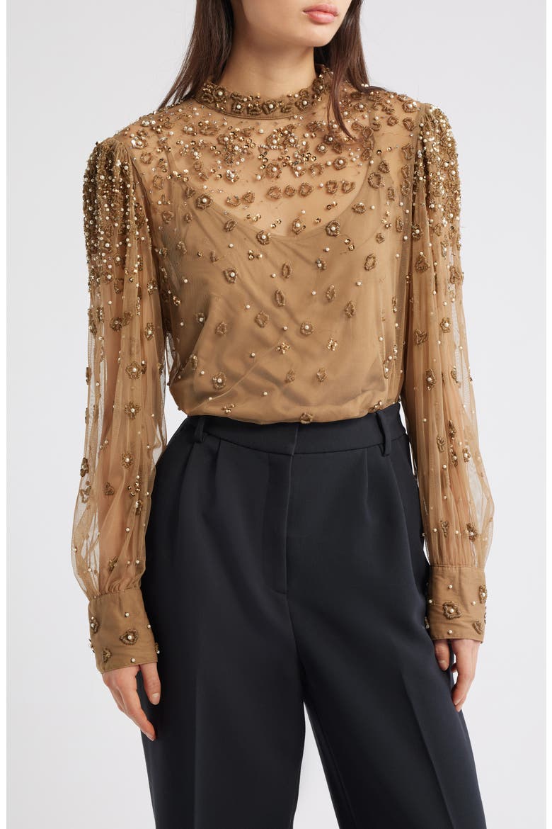 Embroidered Tulle Lined Blouse, Main, color, CARAMEL