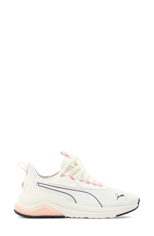 Puma Amplifier Soft Sneaker In Warm White- Black-rose