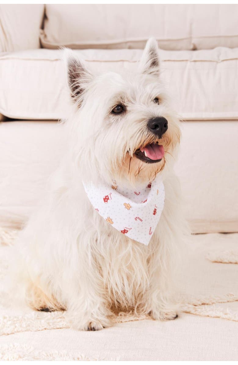 Babycottons Christmas Pet Bandana for Infant, Main, color, Full Print