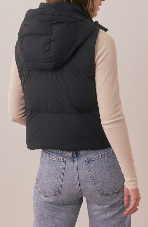 Marine Layer Zoe Hooded Puffer Vest In Black