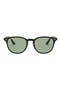  Black / Light Green