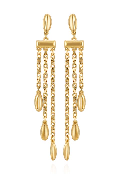 Long Chain Tassel Earrings