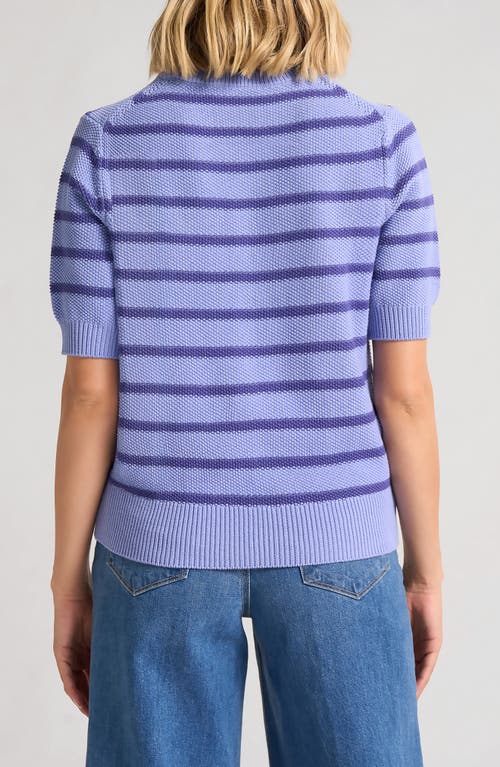 Matty M Mara Short Sleeve Sweater In Purple