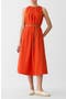 selected Orange Poppy