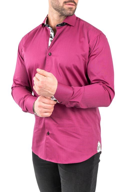 Maceoo Einstein Jacqstripes Purple Button-up Shirt In Purple