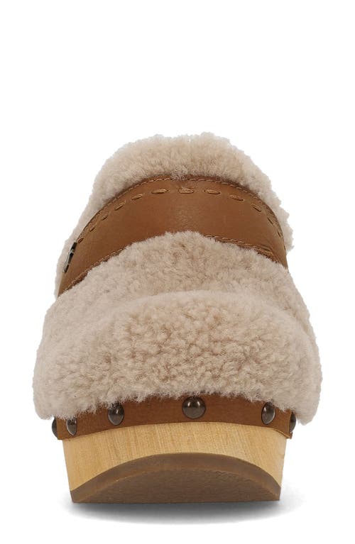 Frye Jessica Clog In Brown