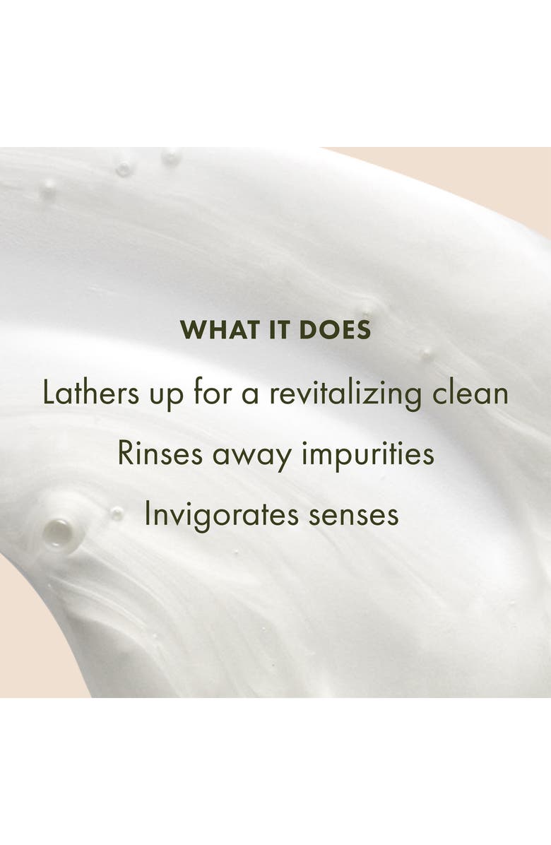 Origins Ginger Burst<sup>™</sup> Savory Body Wash, Alternate, color, 