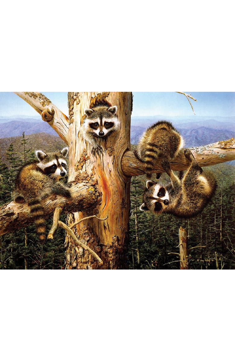 Sunsout Balancing Act 300 piece Jigsaw Puzzle for Adults, Alternate, color, Multicolor