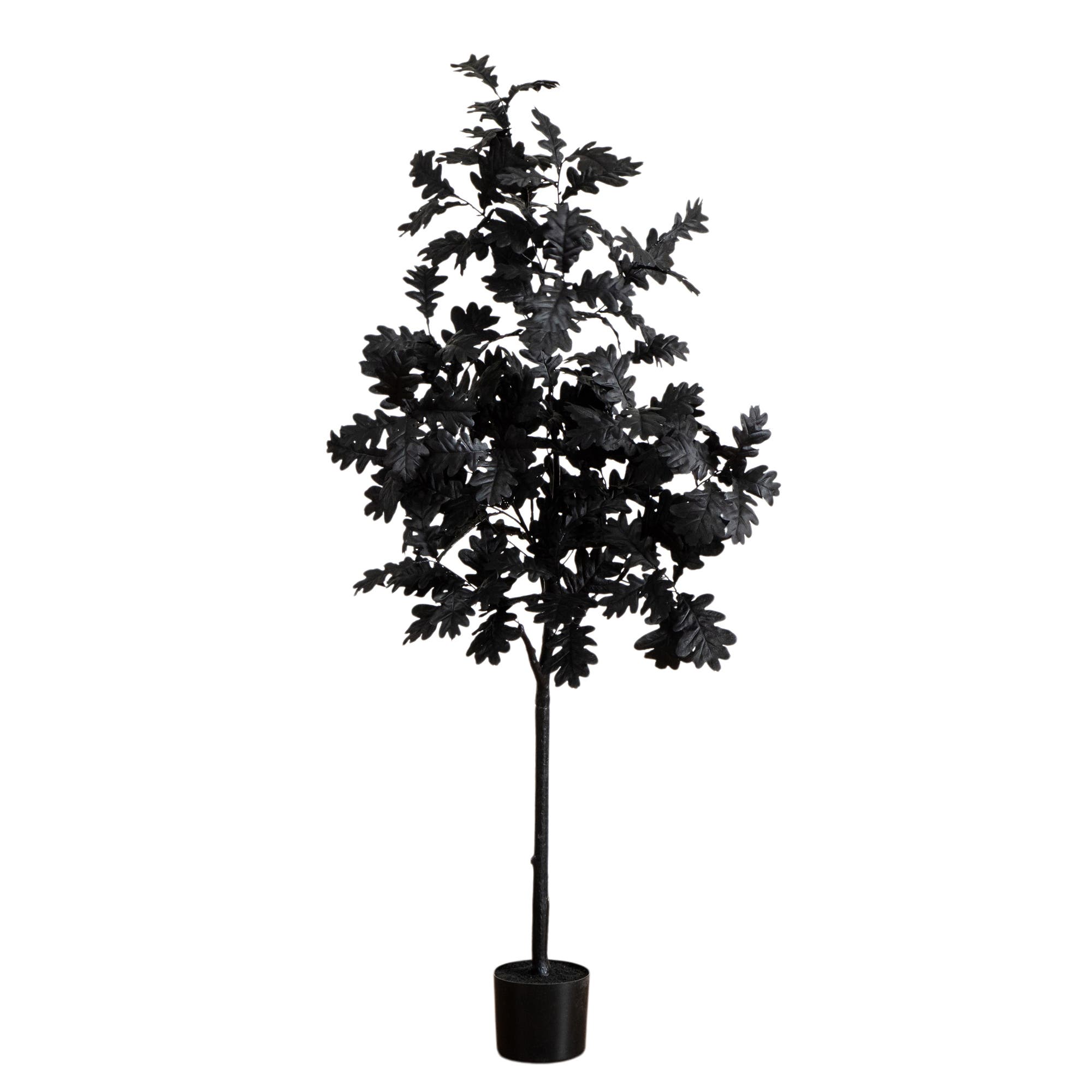 selected Black
