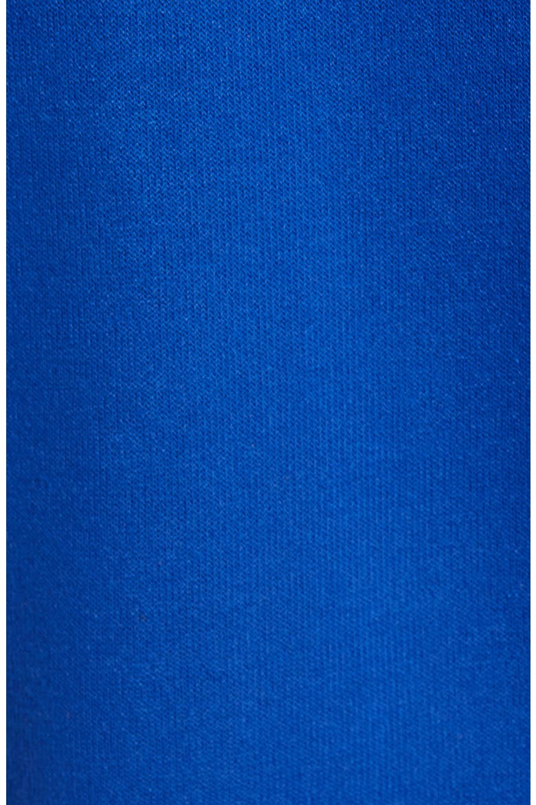 Zip Hoodie, Alternate, color, BLUE SURF