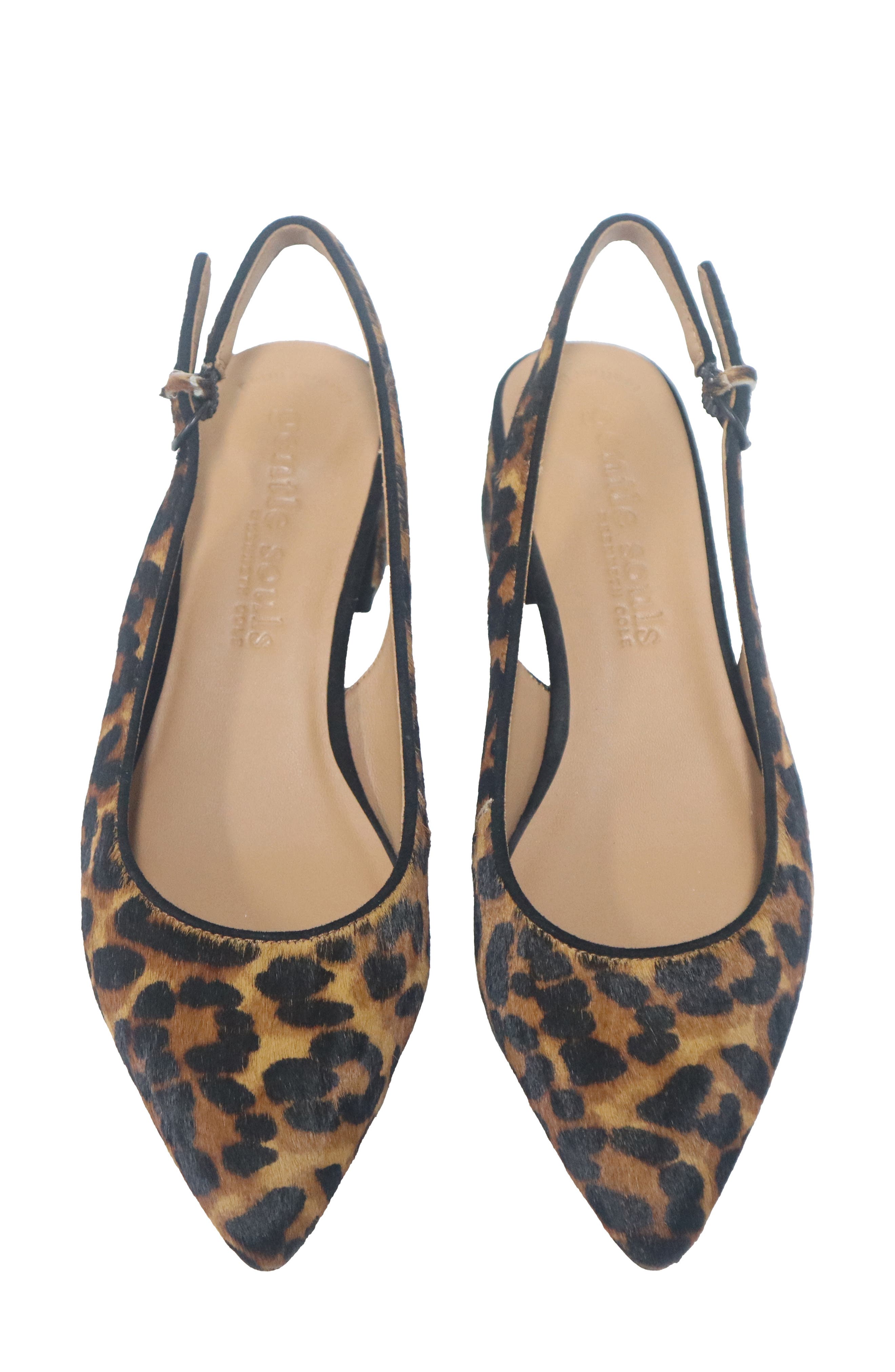 Gentle Souls Georgia Slingback Pointed Toe Pump, Alternate, color, Leopard Haircalf
