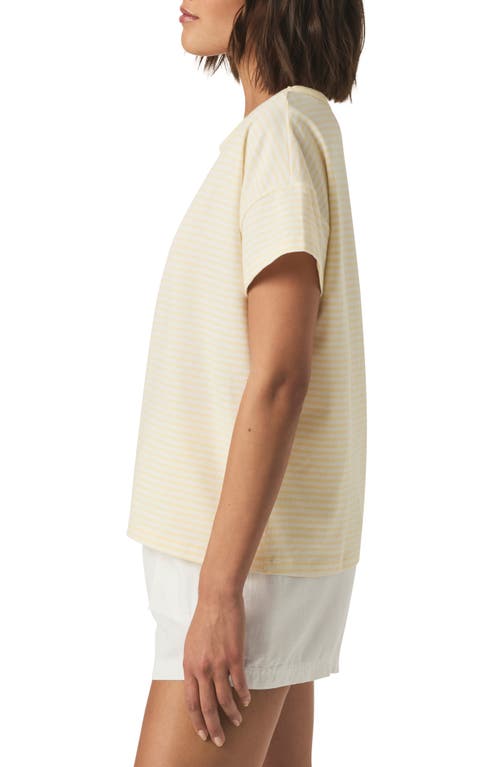 Splendid Astrid Stripe Boxy Ringer T-shirt