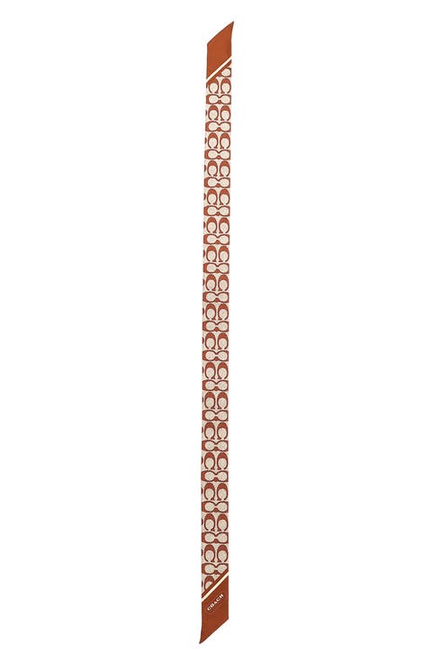 Textured Signature Print Silk Skinny Scarf