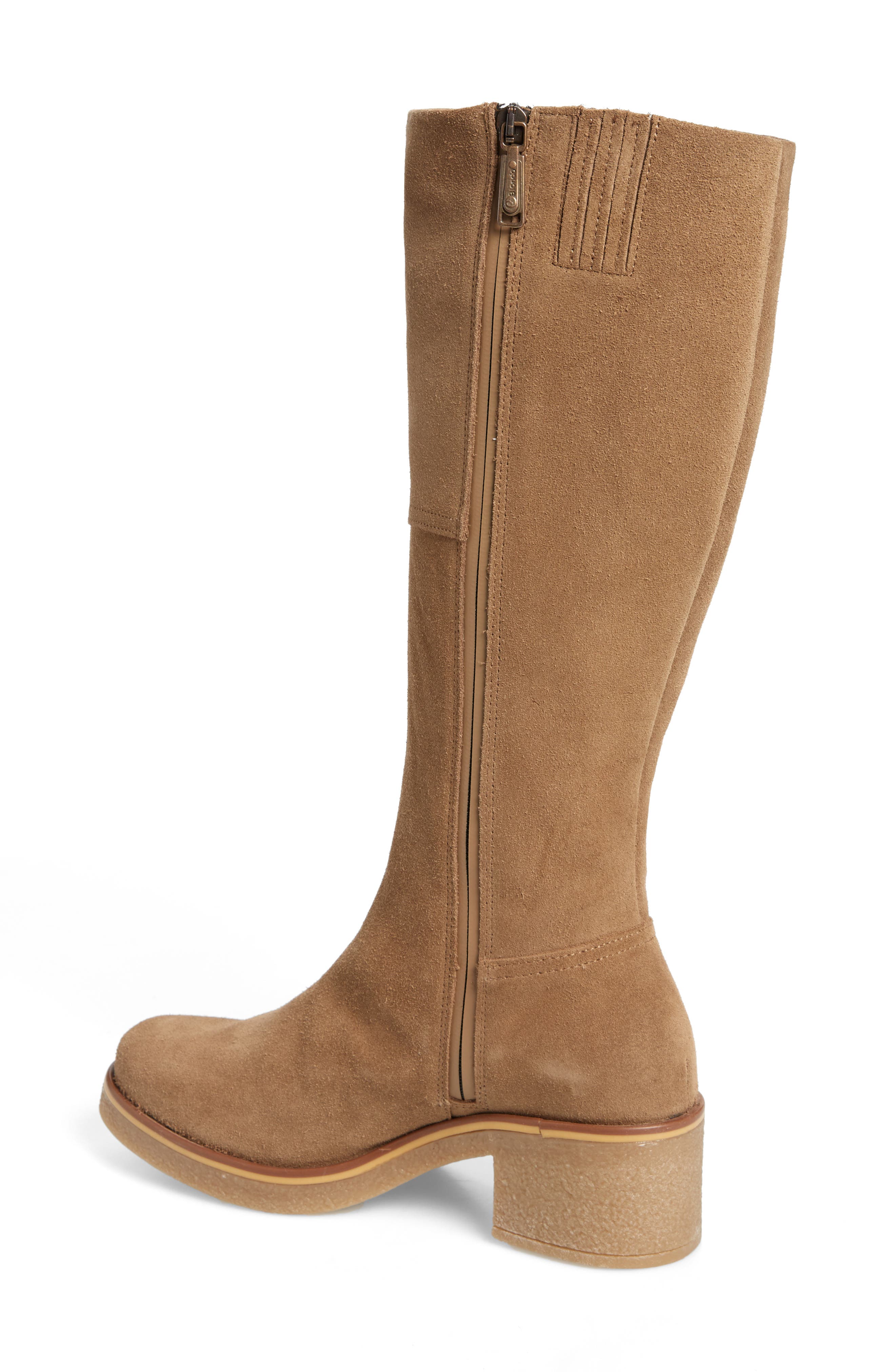 Lana Waterproof Knee High Boot, Alternate, color, MUSHROOM SUEDE