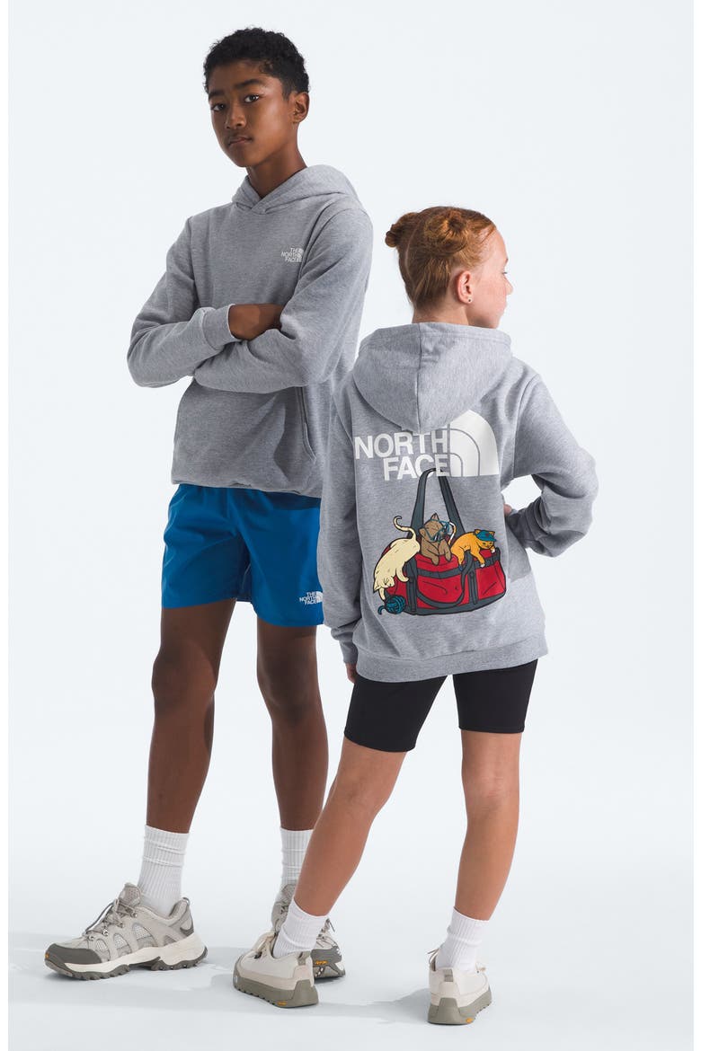 Kids' Ember Fade Pullover Hoodie, Alternate, color, TNF PALE GREY HEATHER