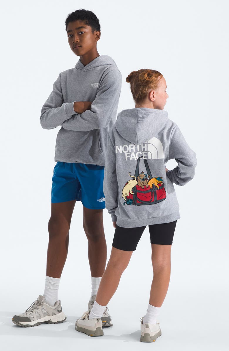 The North Face Kids' Ember Fade Pullover Hoodie, Alternate, color, Tnf Pale Grey Heather