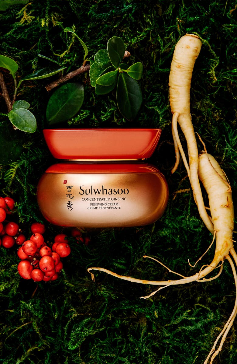 Sulwhasoo Concentrated Ginseng Renewing Cream, Alternate, color, 