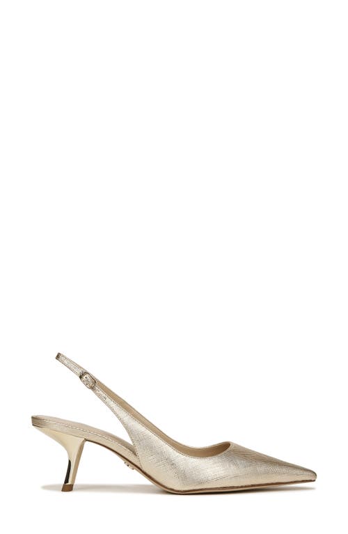 Sam Edelman Bianka Slingback Pump