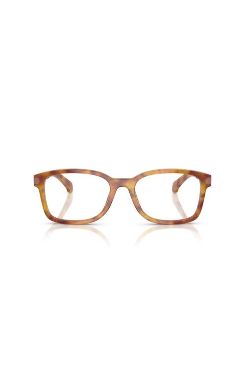 Moncler 54mm Rectangle Optical Glasses In Brown