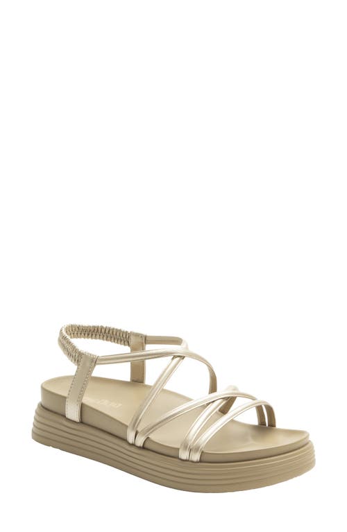 Alegria By Pg Lite Audie Platform Sandal In Gold