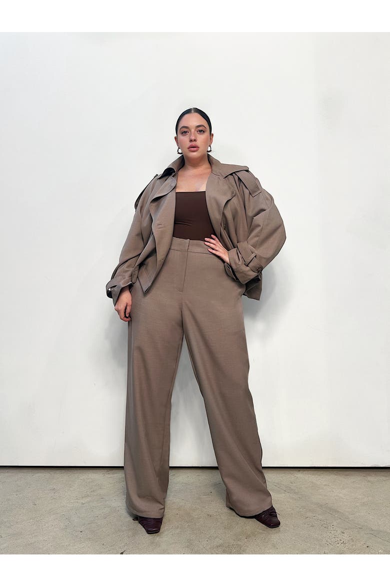 Hepburn Wide Leg Pant, Alternate, color, Taupe