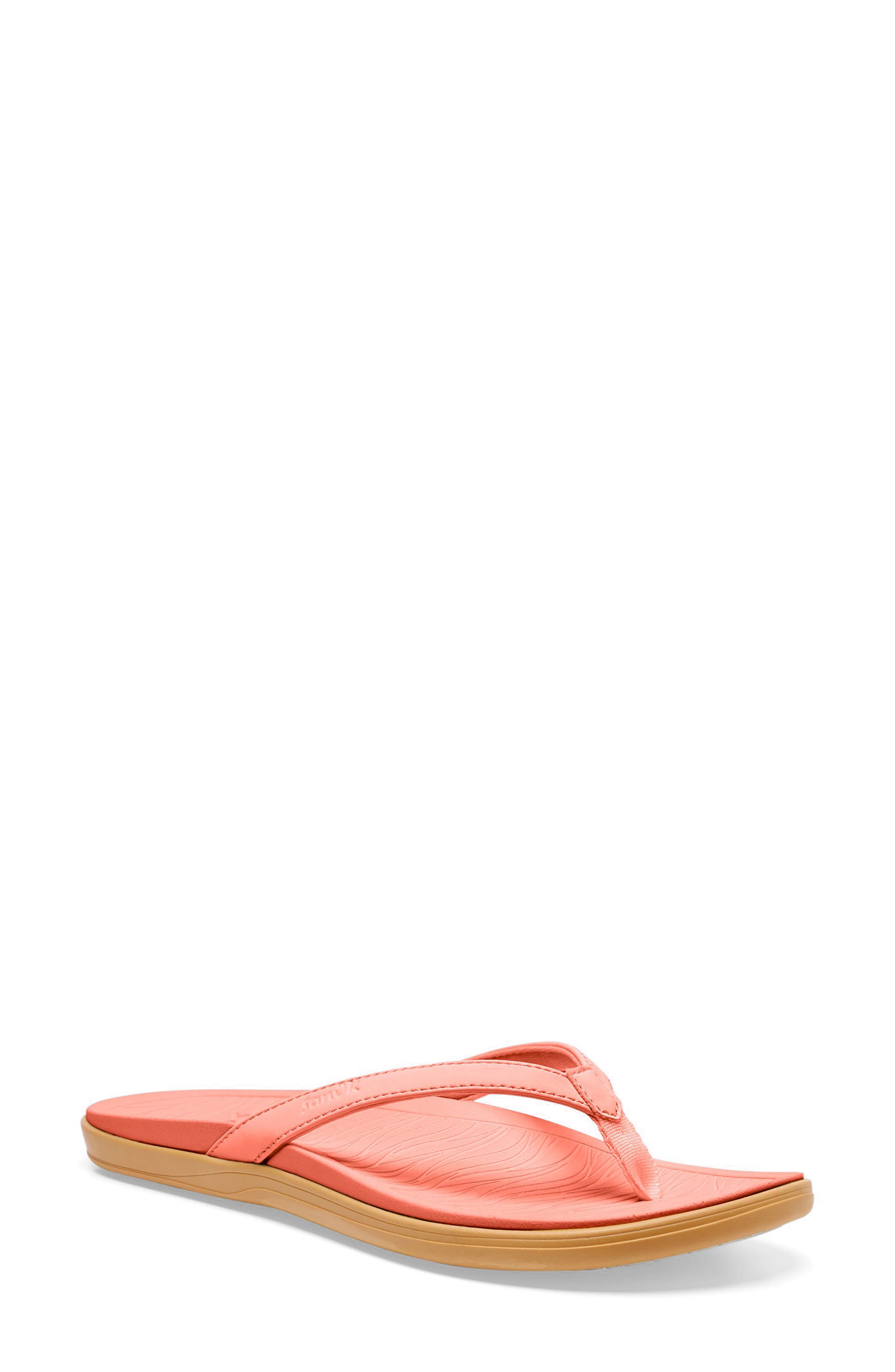  Coral Haze