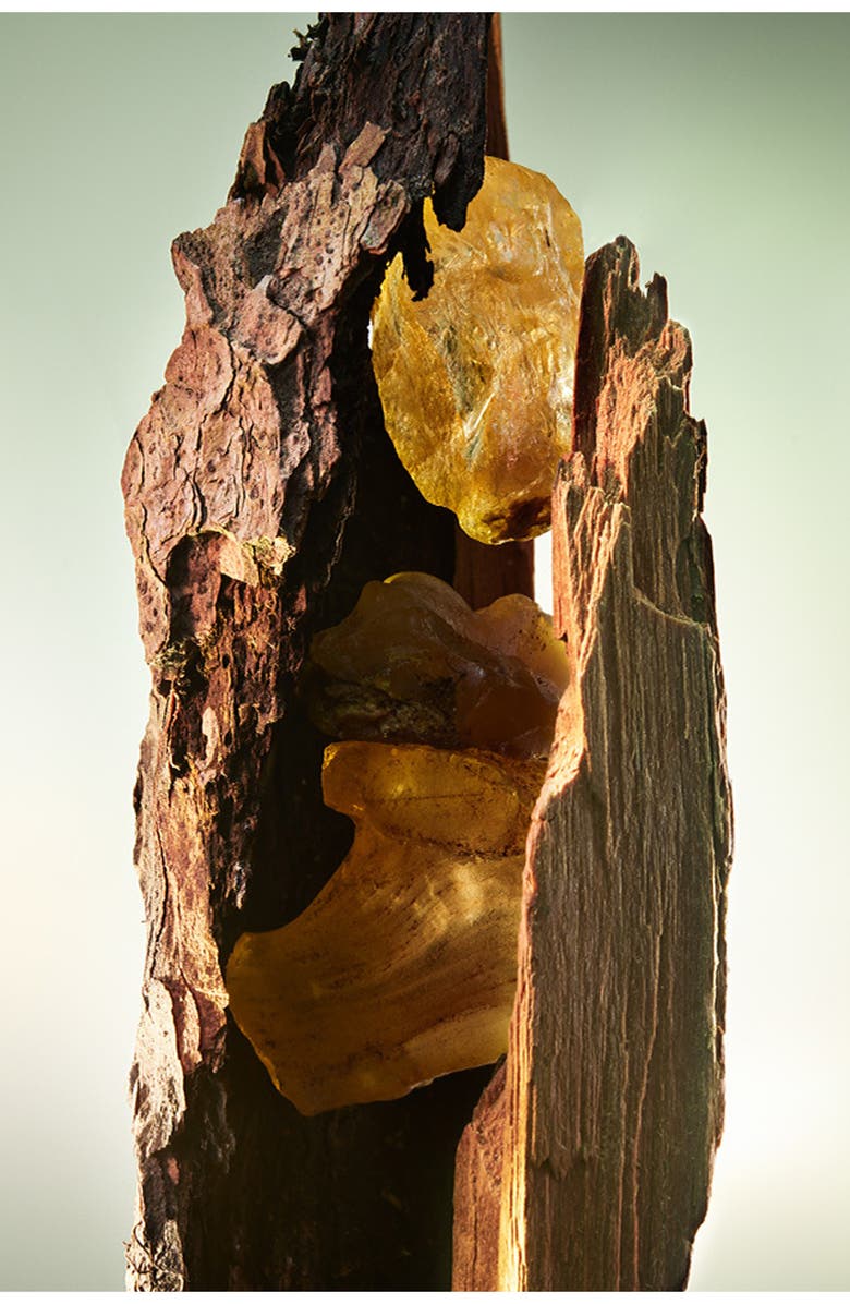 BVLGARI MAN Wood Essence Eau de Parfum Gift Set, Alternate, color,