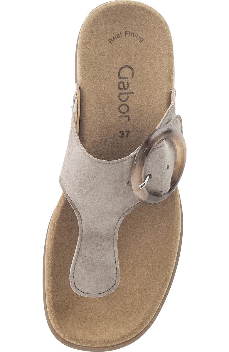 Gabor Flip Flop, Alternate, color, Rabbit