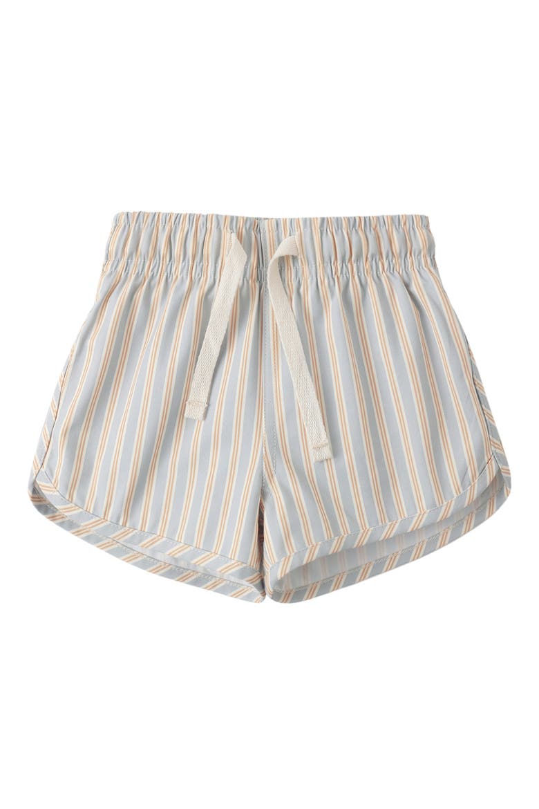 Kids' Blue N Butters Stripe Swim Shorts, Alternate, color, BLUE