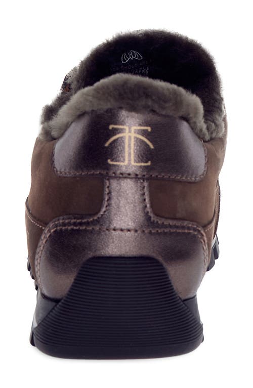 Candice Cooper Runlo Genuine Shearling Lined Sneaker In Brown
