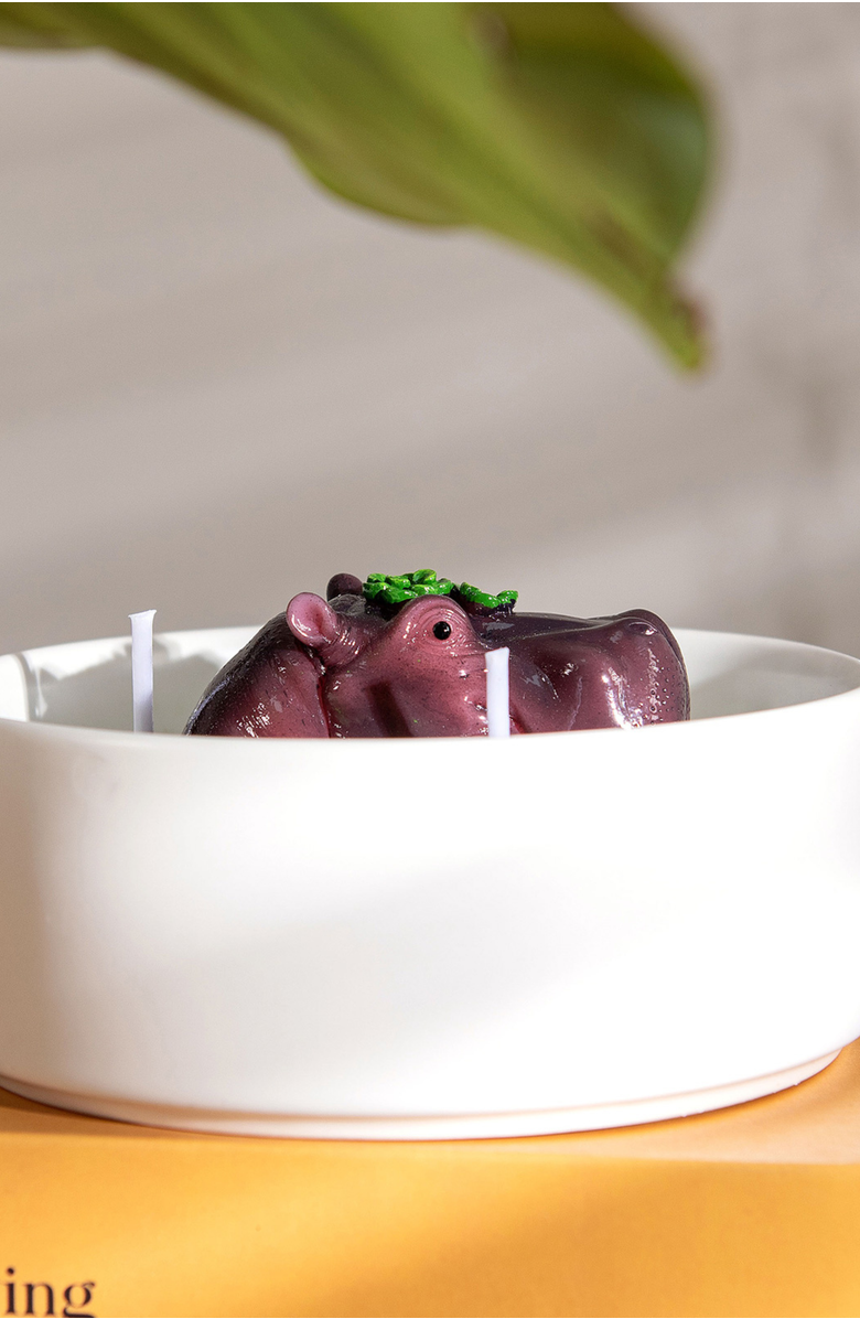 Southlake gifts Hippo Candle Bowl, Alternate, color, Brown / Purple / Green