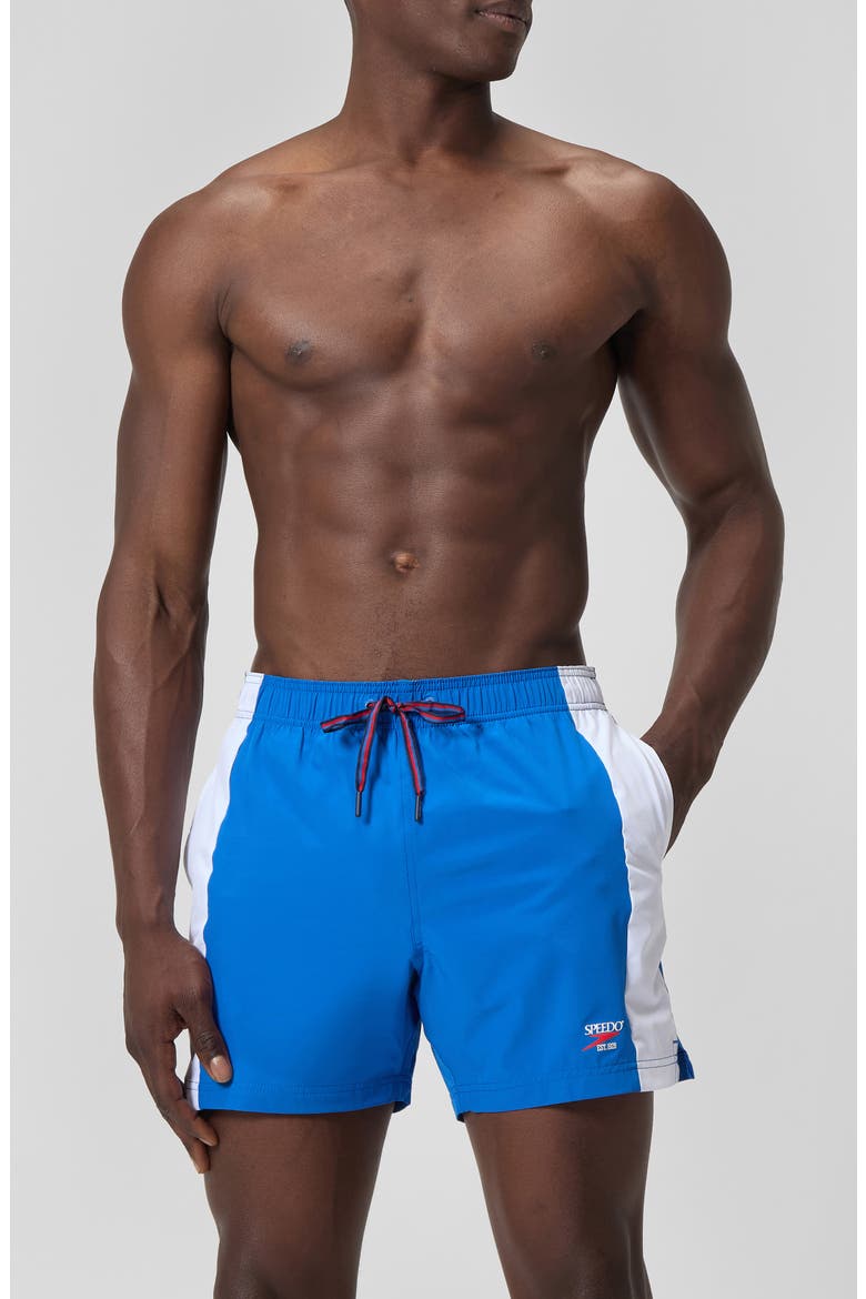 Volley 16-Inch Swim Trunks, Main, color, BLUE