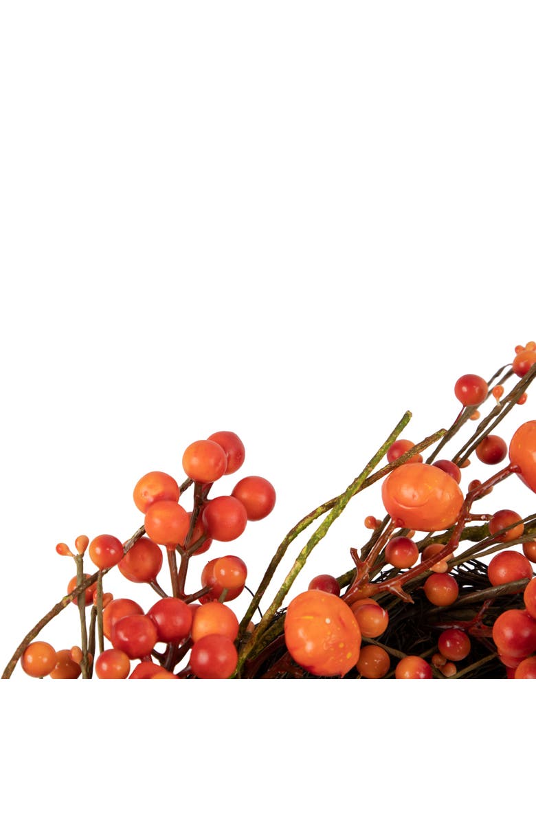 Northlight Mini Pumpkins and Berries Artificial Fall Harvest Twig Wreath - 20", Alternate, color, Red