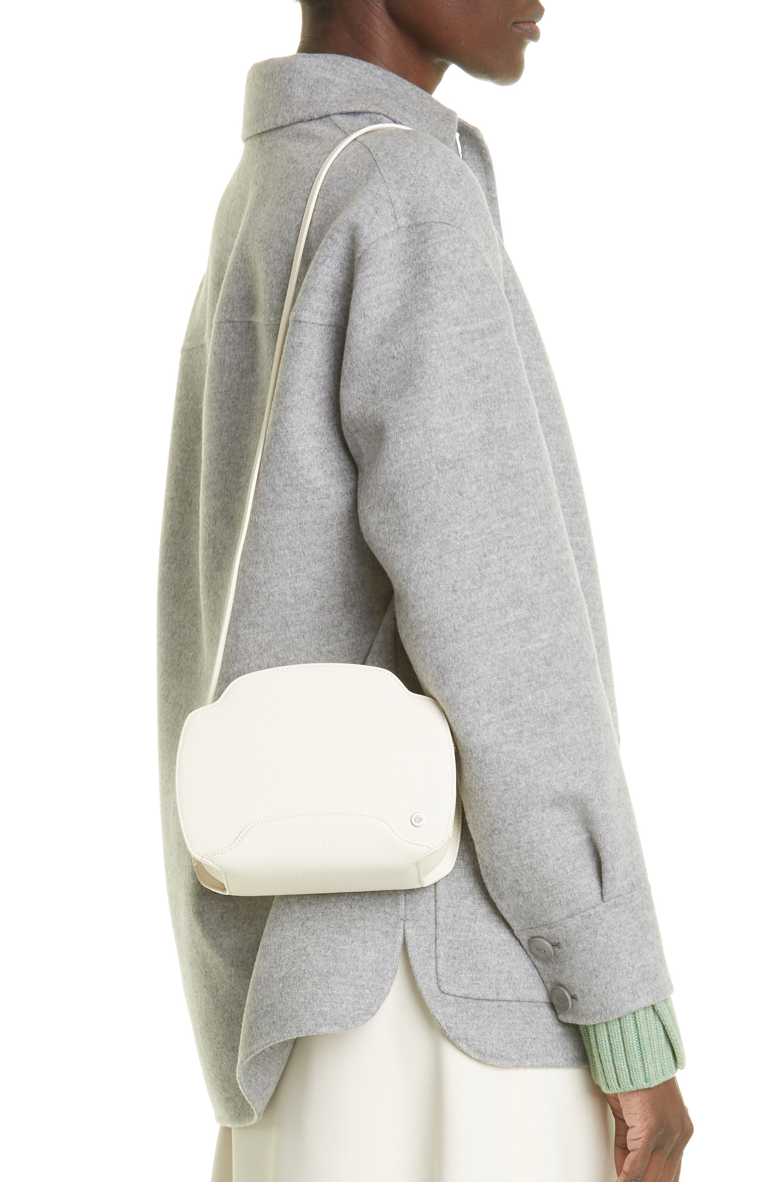 Loro Piana Sesia Matte Leather Crossbody Bag, Alternate, color, 